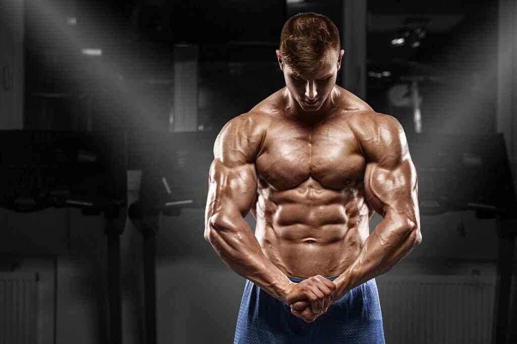 Redefining Muscle Building